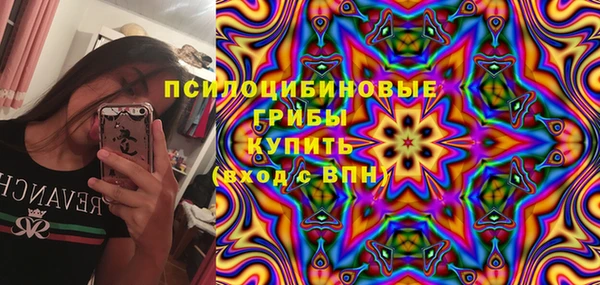 стафф Гусь-Хрустальный