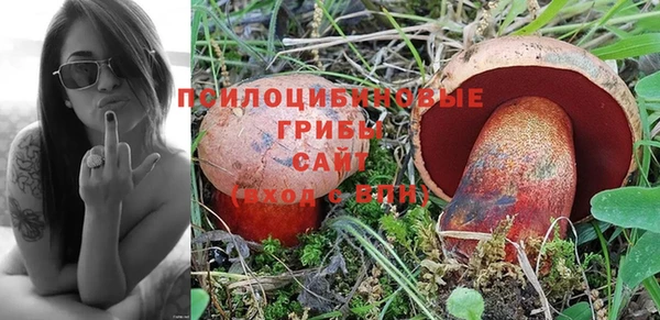 стафф Гусь-Хрустальный