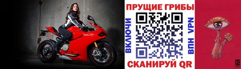 Купить где  Уварово  Галлюциногенные грибы GOLDEN TEACHER 