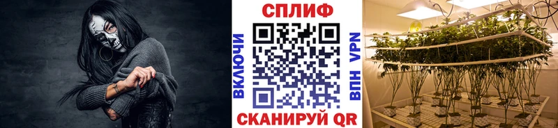 Купить  Уварово  Канабис AK-47 